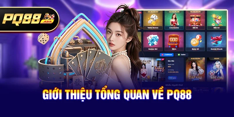 Giới thiệu tổng quan về pq88