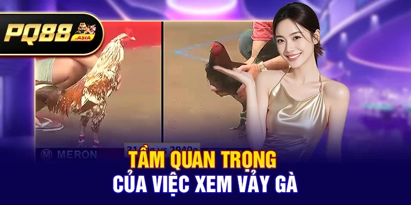 Tầm quan trọng của việc xem vảy gà