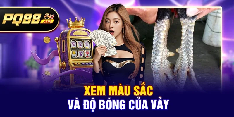 Cách 2: Xem màu sắc và độ bóng của vảy